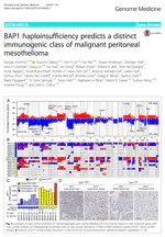 BAP1 Haploinsufficiency Predicts a Distinct Immunogenic Class of Malignant Peritoneal Mesothelioma