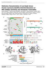 Multiomics Characterization of Low-grade Serous Ovarian Carcinoma Identifies Potential Biomarkers of MEK-inhibitor Sensitivity and Therapeutic Vulnerability