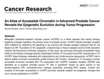 An Atlas of Accessible Chromatin in Advanced Prostate Cancer Reveals the Epigenetic Evolution during Tumor Progression