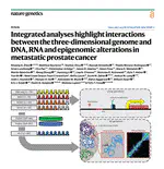 Integrated analyses highlight interactions between the three-dimensional genome and DNA, RNA and epigenomic alterations in metastatic prostate cancer